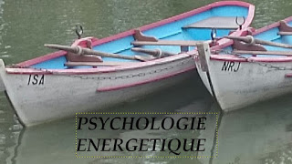 PSYCHOLOGIE ENERGETIQUE :  EFT, TCM, TAT ou TAPAS, BSFF, …